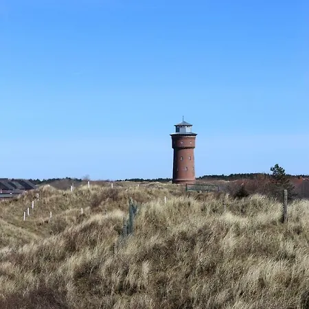 Mara Borkum